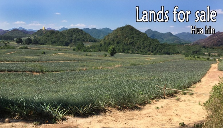 Land for sale in Hua Hin - Thailand